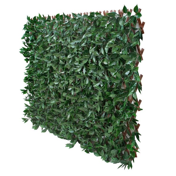 CREATIVE SURFACES Sakura 34 in. x 76 in. Expandable Trellis (2-Pack)