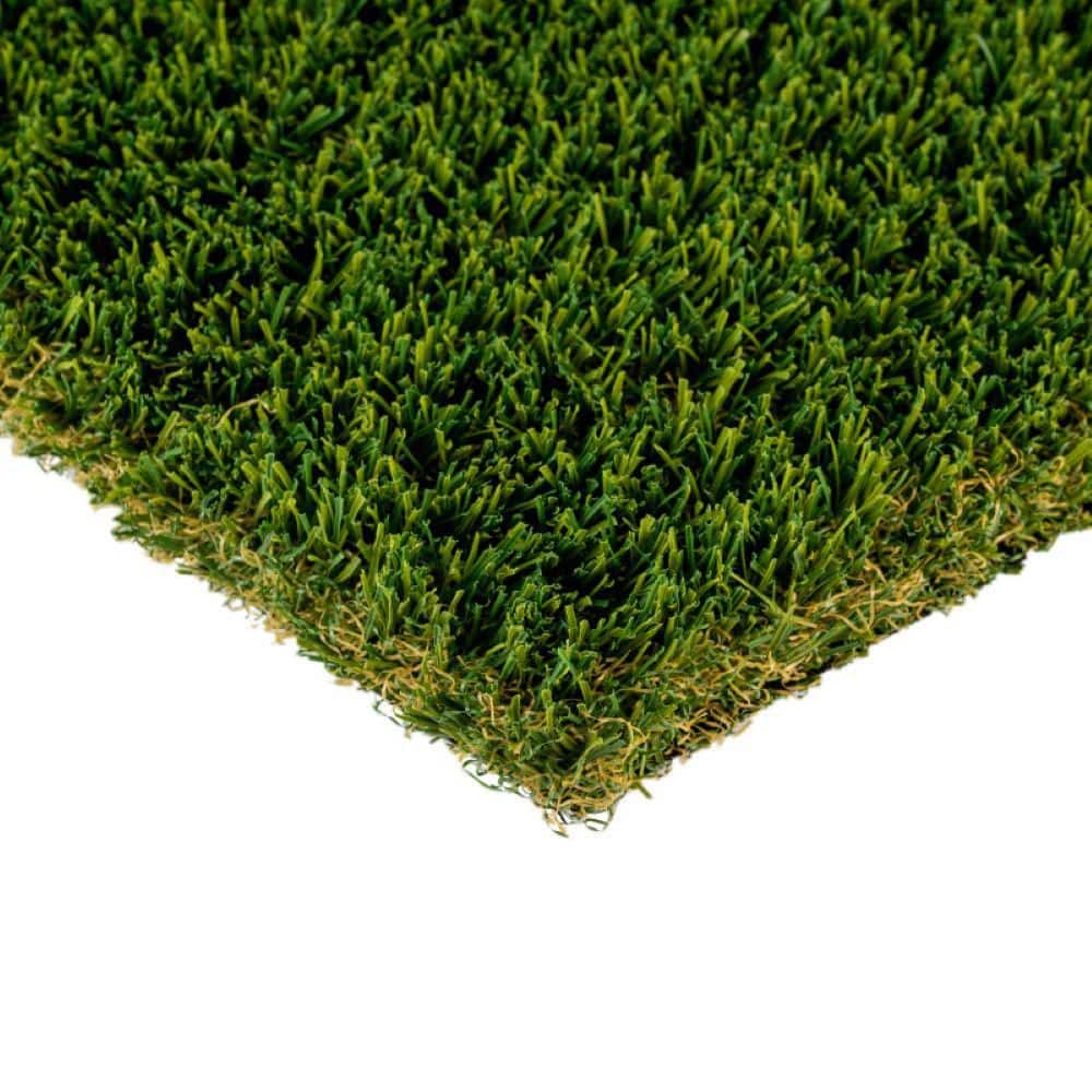 Bermuda Pro 15 ft. Wide x Cut to Length Green Artificial Grass Turf price history on PriceWatchPro