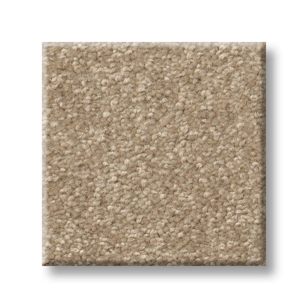 8 in. x 8 in. Texture Carpet Sample - Blakely I -Color Rattan price history on PriceWatchPro
