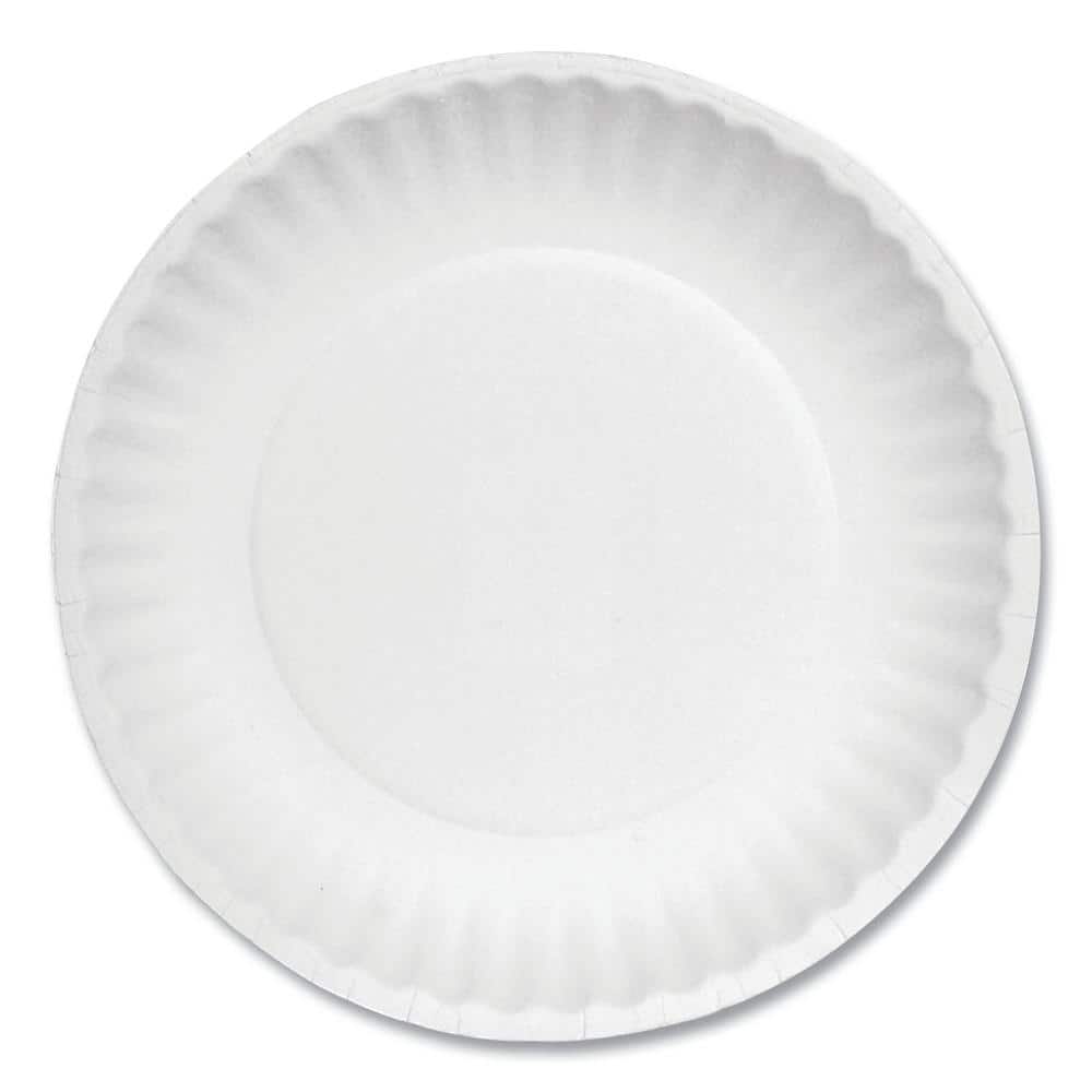 [300 Pack] Bulk Disposable White Uncoated Paper Plates 9 inch Large