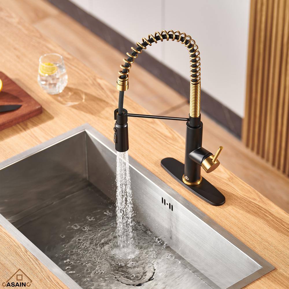 Matte Black and Brushed Gold Pull Down Kitchen Faucet
