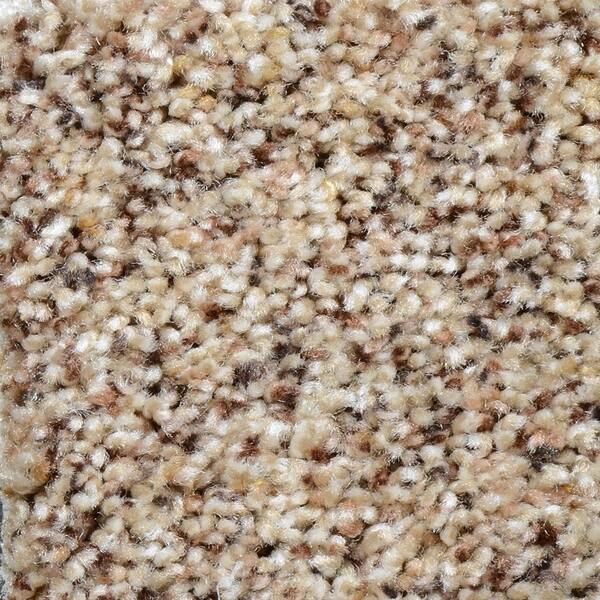 Home Decorators Collection Carpet Sample - Grayson - Color Seattle Texture 8 in. x 8 in.