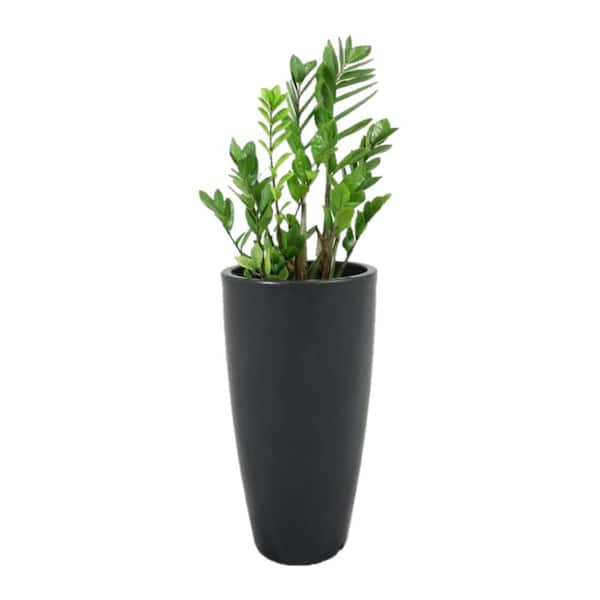 Rain Forest 43 in. Tall Charcoal Verona Plastic Planter R.0200.064.110 ...