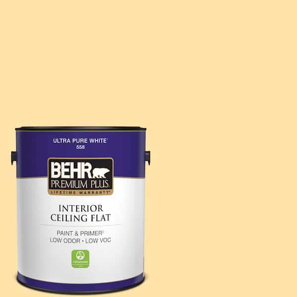 1 gal. #P270-3 Sunflower Seed Ceiling Flat Interior Paint