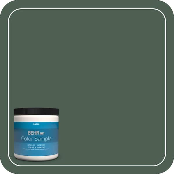 BEHR PREMIUM PLUS 8 oz. #PPU11-20 Congo Satin Enamel Interior/Exterior Paint & Primer Color Sample