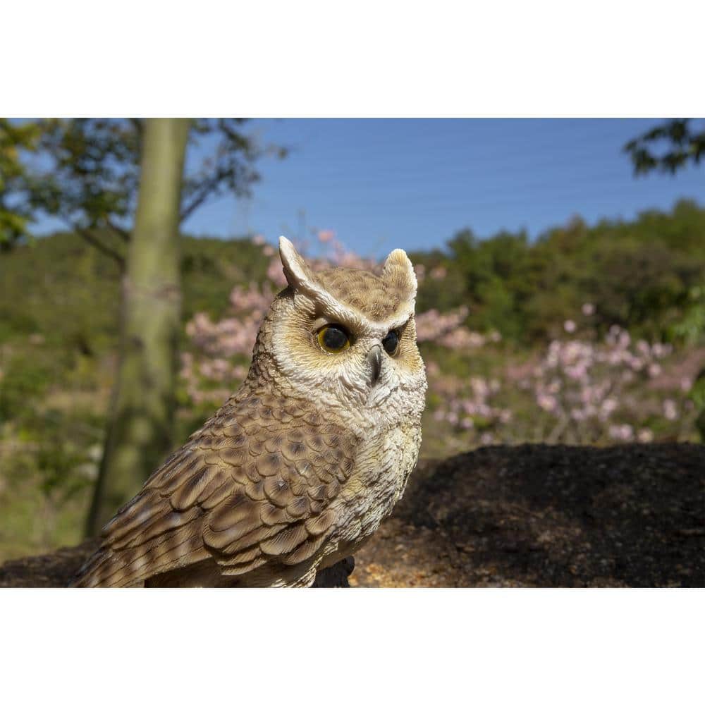 Motion Activated Singing Brown Polyresin Owlet Garden Statue