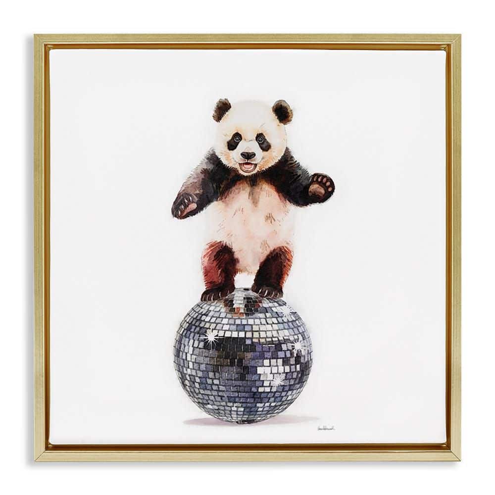 Panda Balancing on Disco Ball by Amanda Greenwood Gold Floater Frame Animal Graphic Art Print 25 in. x 25 in. price history on PriceWatchPro