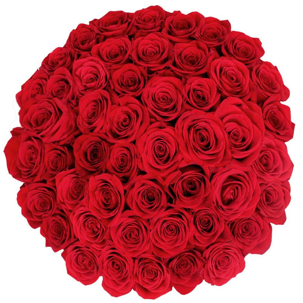 FLORAVAS 50-Stems Red Roses FLR-ROS-50-RED-ELT - The Home Depot