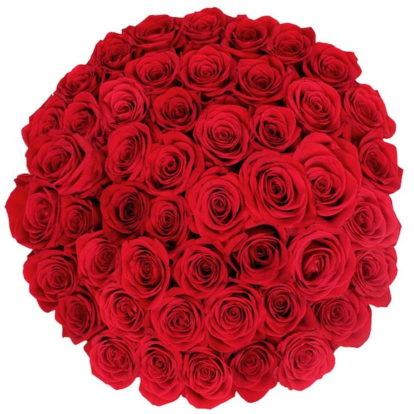 50-Stems Red Roses