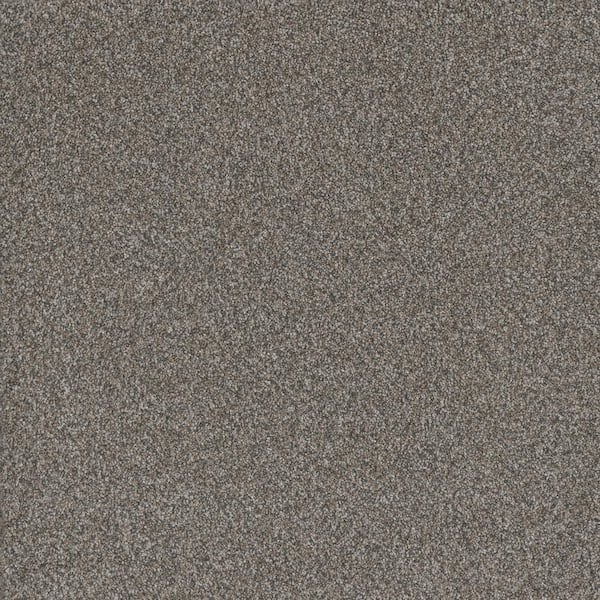 Home Decorators Collection Trendy Threads Plus III - Elkhorn - Gray 60 oz. SD Polyester Texture Installed Carpet