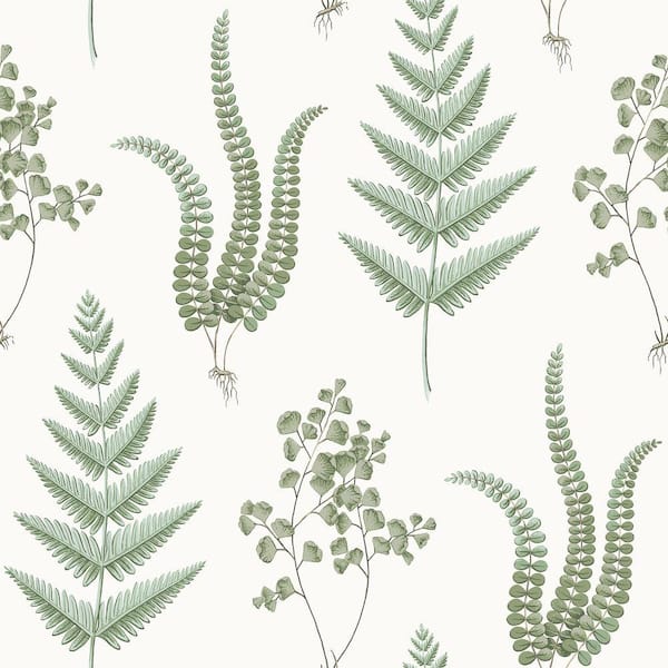 Brewster White Herbs Paper Strippable Roll Wallpaper (Covers 57.5 sq. ft.)