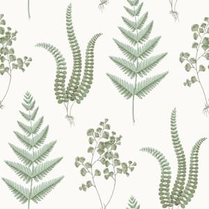 White Herbs Light Blue Wallpaper Sample