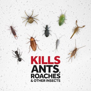 20 oz. Ant and Roach Killer Defend Outdoor Fresh Insect Killer