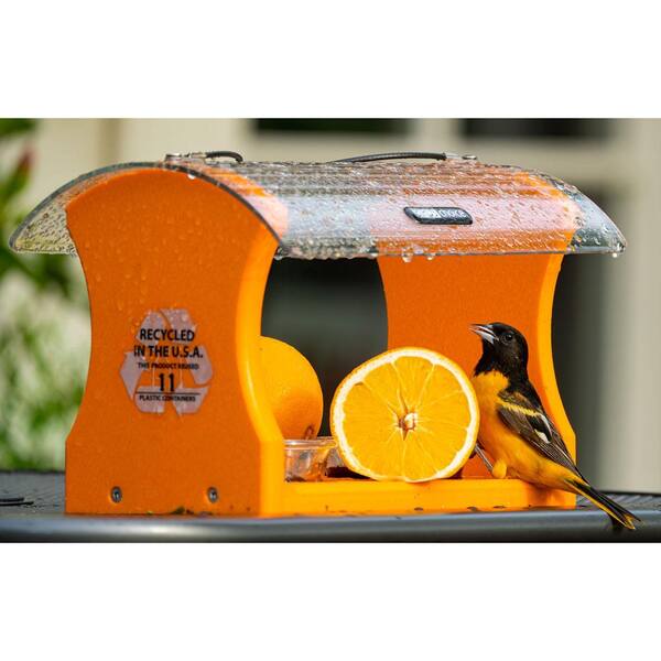 Birds Choice Recycled Oriole Feeder Bird Feeder SNOF 