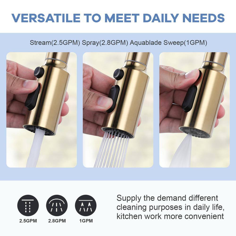 Gold 3-Function Kitchen Faucet Spray Head with 9 Adapters