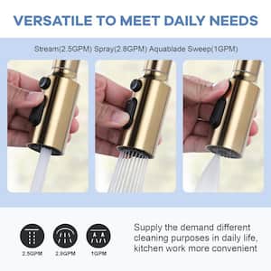 3-Function Kitchen Faucet Spray Head Replacement with 9-Adapters Kit in Gold