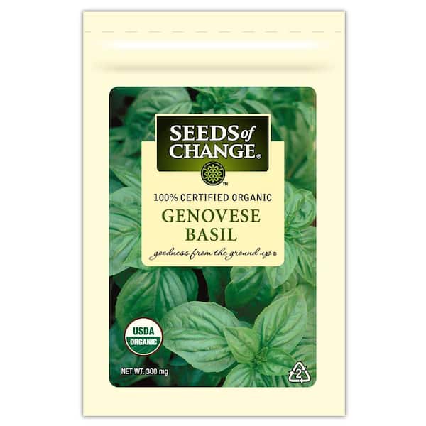 Genovese Basil Seed
