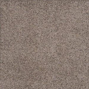 Topaz I - Jaybird - Beige 40 oz. SD Polyester Texture Installed Carpet