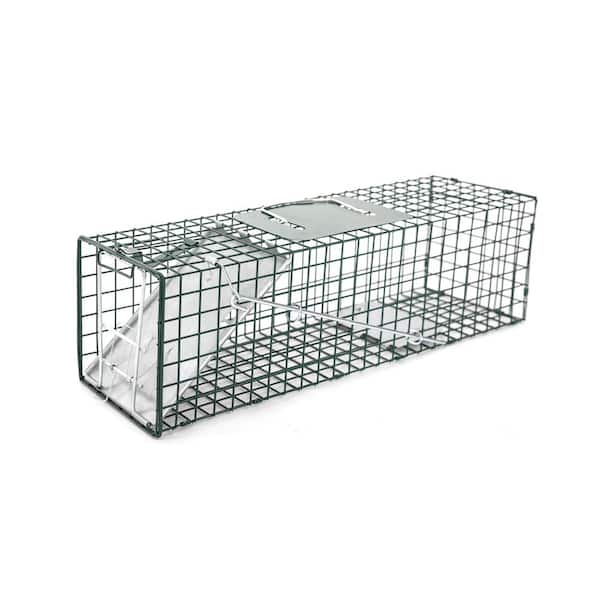 twocorn 17.3 Heavy Duty Live Squirrel Trap, Folding Small Animal Cage  Traps, Humane Cat Trap for Stray Cats, Rabbits, Raccoons, Skunks, Possums  and