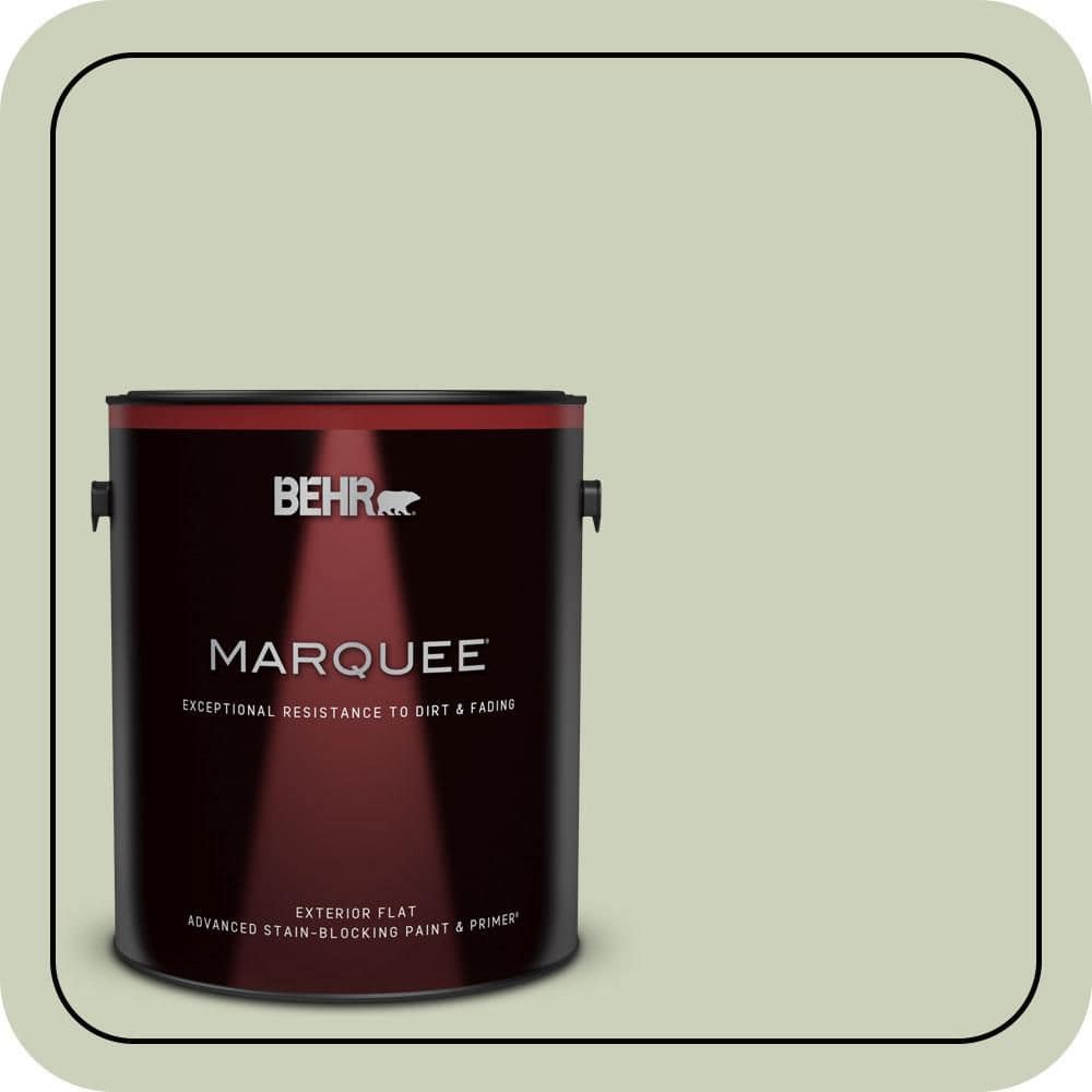 1 gal. #PPU10-09 Chinese Jade Flat Exterior Paint & Primer price history on PriceWatchPro