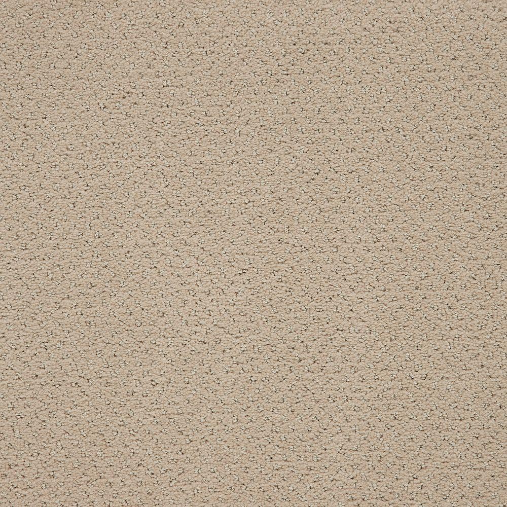 8 in. x 8 in. Pattern Carpet Sample - Pretty Penny -Color Almost White price history on PriceWatchPro