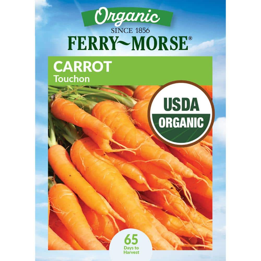 Ferry-Morse Organic Carrot Touchon Vegetable Seeds 9824 - The Home