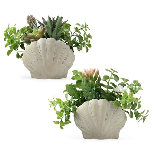 succulent glass bowl Succulent Glass Bowl main image 0
