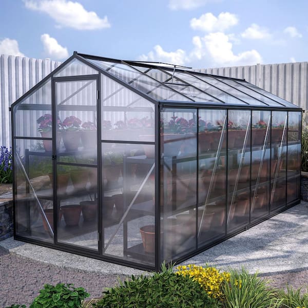 Outdoor 6 ft. x 12 ft. Wall-In Greenhouse Polycarbonate Aluminum Patio Grow House Garden Shed Kit, Black