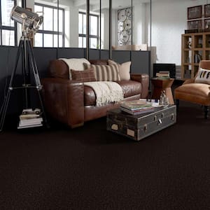 Palmdale II - Mountain Path - Brown 31.2 oz. Polyester Texture Installed Carpet