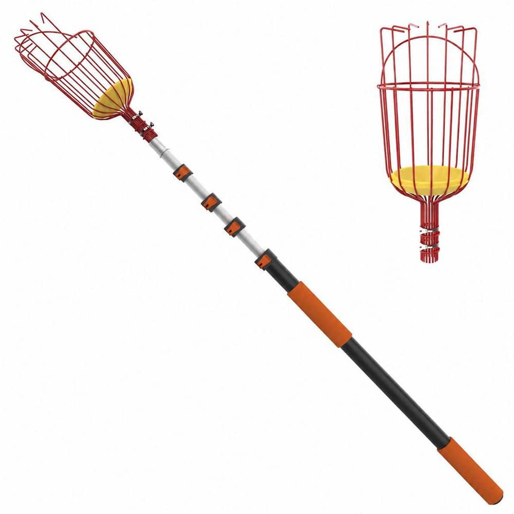 13 in. Tree Pruner Telescopic Fruit Picker Pole with Basket 5-20FT Extension for Apple Orange Mango Avocado price history on PriceWatchPro