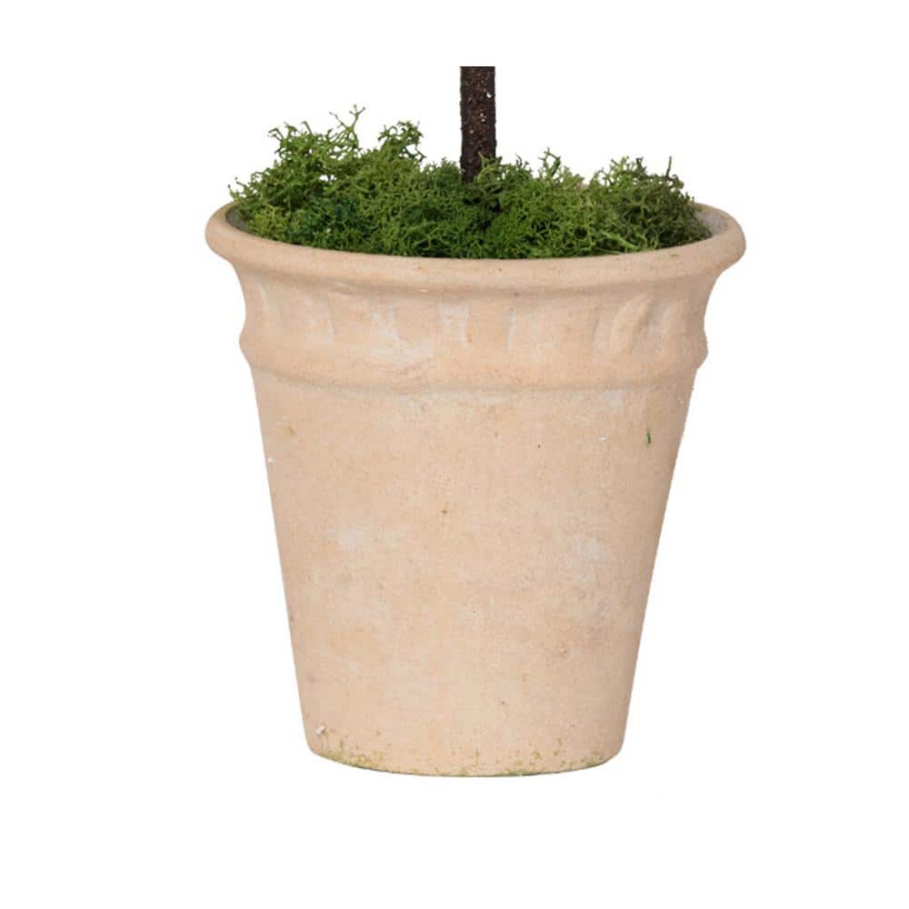 Evergreen Elegance 24" Outdoor Boxwood Topiary in Potted Design