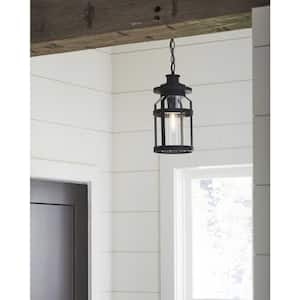 Haslett Collection 1-Light Textured Black Clear Seeded Glass Farmhouse Outdoor Hanging Lantern Light