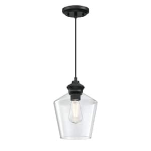Ramsey 1-Light Matte Black Shaded Mini Pendant with Clear Glass Shade