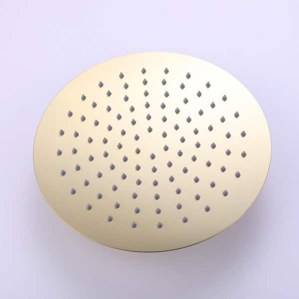 3-Spray 10 in. Dual Shower Head Wall Mount and Handheld Shower Head 2.3 GPM in Brushed Gold