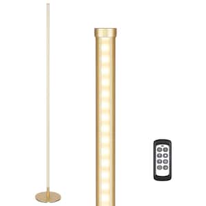 57.5 in. Gold LED Dimmable Standing Floor Lamp for Living Room with Remote Control