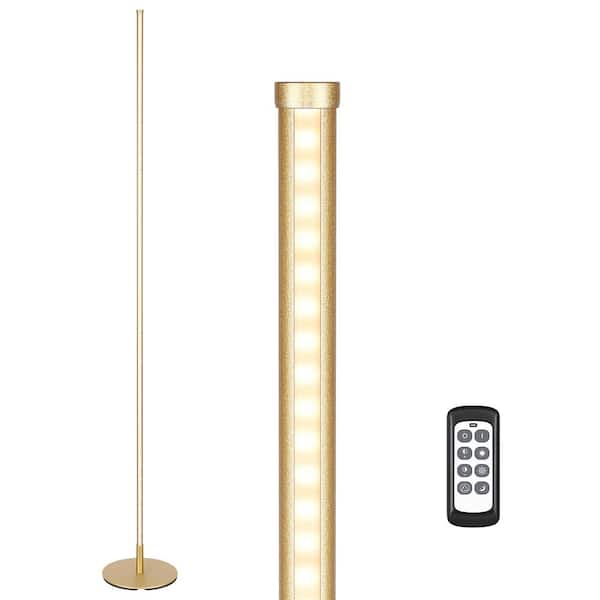 EDISHINE 57.5 in. Gold LED Dimmable Standing Floor Lamp for Living Room with Remote Control