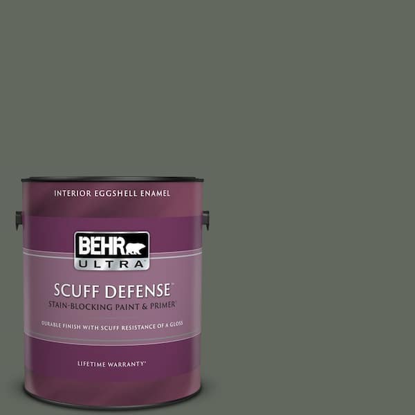 Behr Ultra 1 Gal 710f 6 Painted Turtle Extra Durable Eggshell Enamel Interior Paint Primer 275301 The Home Depot - Painted Turtle Paint Colour
