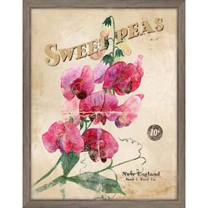 Vintage Flower Seed Packets 2 Sweet Peas 1920s NO SEEDS Original  Lithographs
