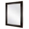 bronze-home-decorators-collection-medicine-cabinets-with-mirrors-83016-a0.3