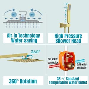 1-Spray 10 in. Wall Mount Fixed and Handheld Dual Shower Head 2.5 GPM in Brushed Gold