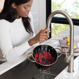 Sellette Single-Handle Pull-Down Sprayer Kitchen Faucet with Deck Plate and Soap Dispenser in Spot Free Stainless Steel
