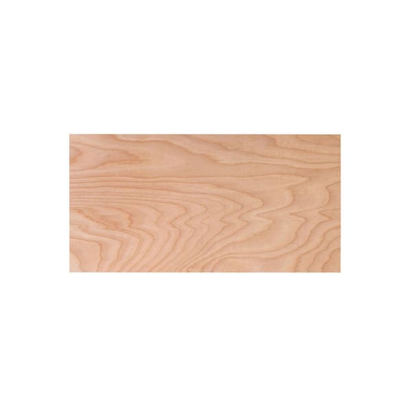 ProWood - 3/4 in. x 2 ft. x 4 ft. Birch Plywood Project Panel
