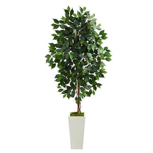 4.5ft. Ficus Artificial Tree in White Planter