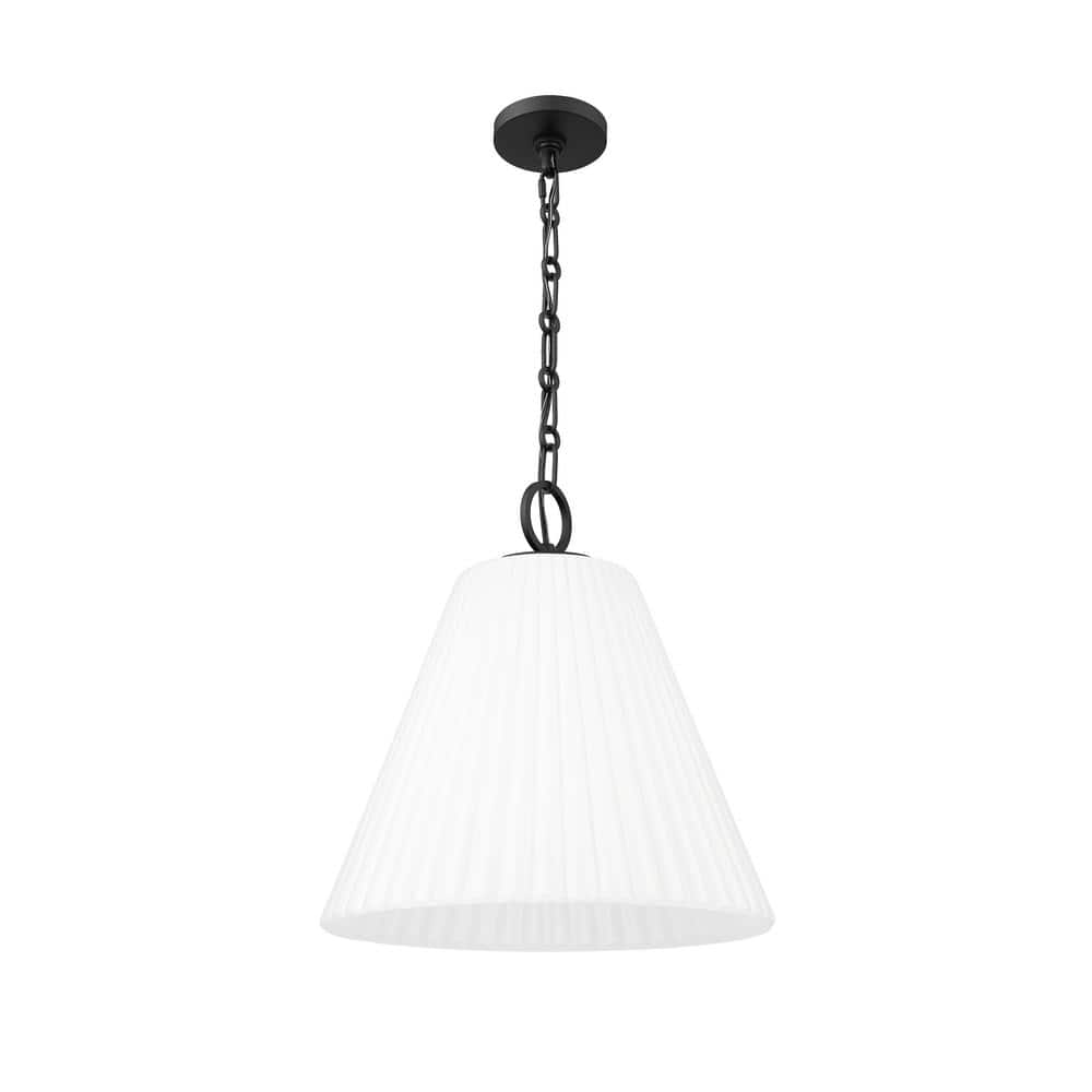 Matte Black 18" Modern Glass Pendant Light
