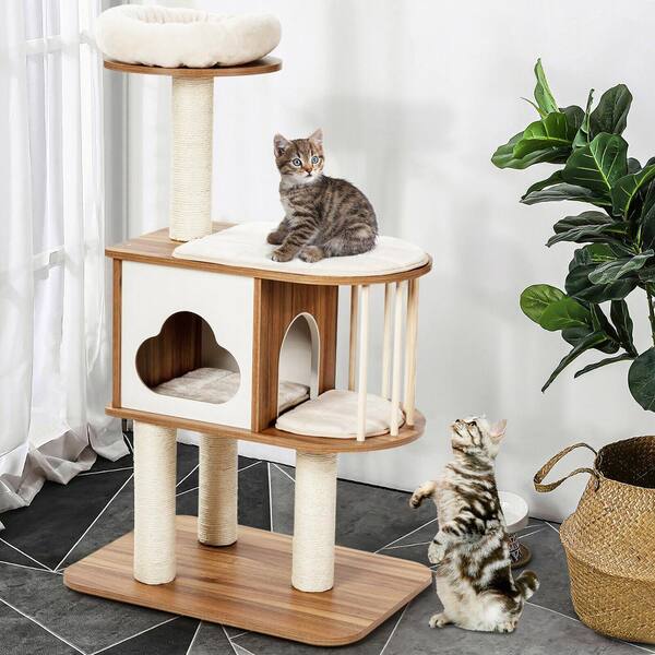 cat activity trees
