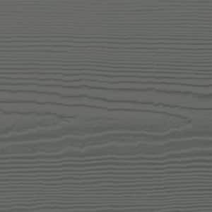 Sample Board Statement Collection 6.25 in x 4 in. Aged Pewter Fiber Cement Siding