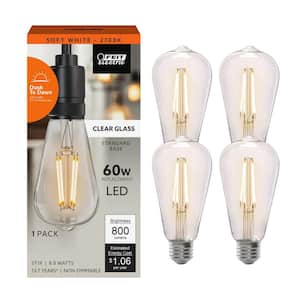 Feit Electric 60-Watt Equivalent ST19 Straight Filament Dusk to