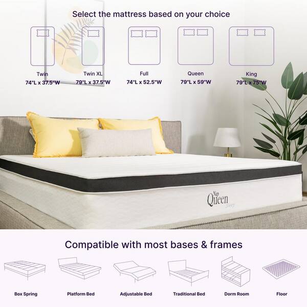 NapQueen Maxima Twin Medium Hybrid 10 in. Mattress NQIH10TT - The