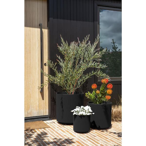 Demi Round Black Plastic Planter Bundle (12 in. 16 in. 20 in.)