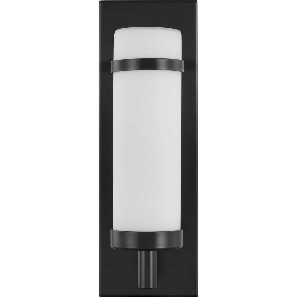Matte Black Etched Opal Glass Dimmable Wall Sconce